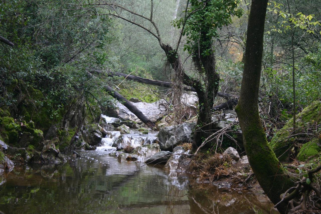 Отель Camping La Brena Альмодовар-дель-Рио Экстерьер фото